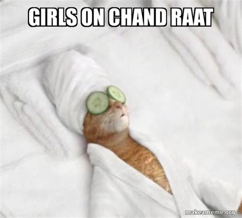Girls On Chand Raat Pampered Cat Meme Make A Meme