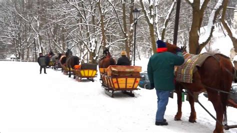 Horse Drawn Sleigh Rides in Ojcow National Park near Krakow - YouTube