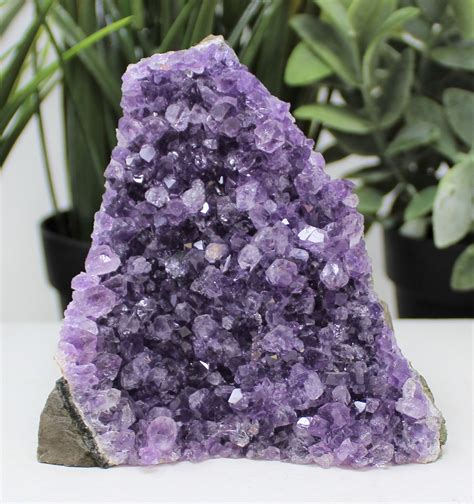 Stunning Very Large Amethyst Cut Base Clusters Crystal