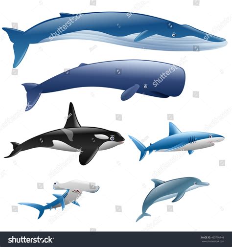 Set Marine Mammals Blue Whale Sperm เวกเตอร์สต็อก ปลอดค่าลิขสิทธิ์