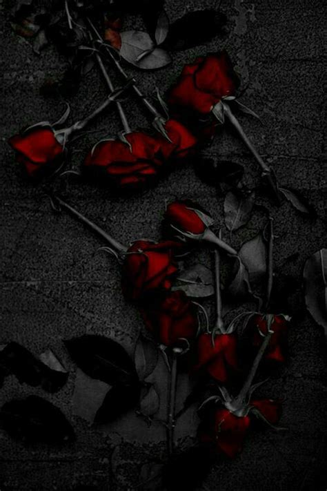 Pin By On هەموو جۆریک Gothic Rose Rose Wallpaper Black