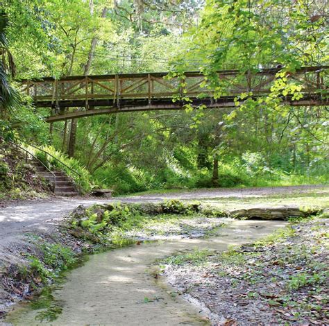 Explore Ravine Gardens State Park In Palatka