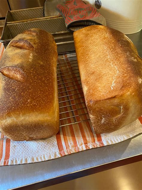 Maggie S Potato Flake Sourdough Bread