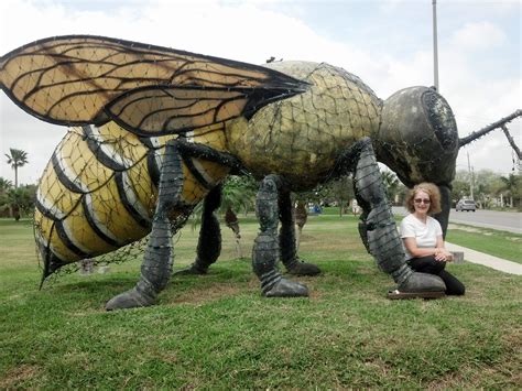 The World’s Largest Killer Bee Can Be Found In This Texas Town