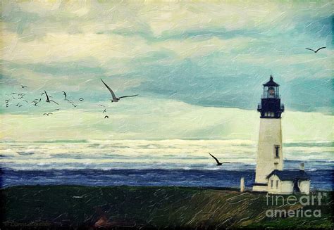 Gulls Way Digital Art By Lianne Schneider Fine Art America