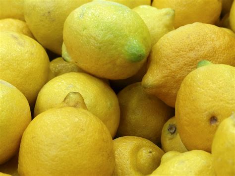 Fresh Lemons Free Stock Photo Public Domain Pictures