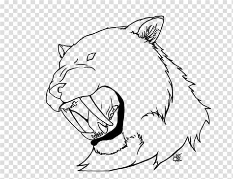The saber tooth tiger, smilodon, refers to the extinct predatory mammal known for its distinctive pair of long, razor sharp canine teeth, in the family felidae. Realistic Black And White Cat Drawing - Alcateri