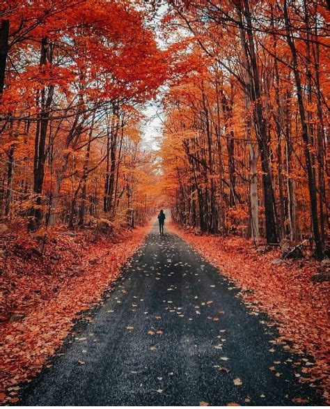 50 Mejores Imágenes De Caminos Roads Paisajes Viaje Por Carretera