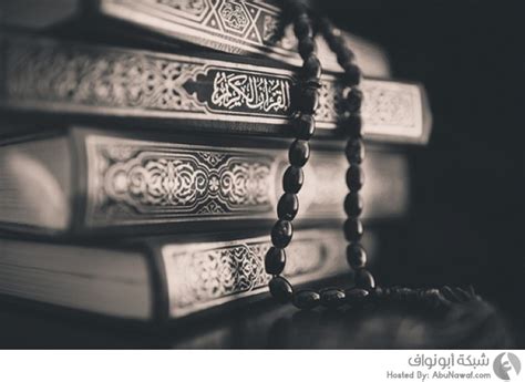 فضل العشر الأواخر من رمضان وليلة القدر اللهم بلغنا ليلة… تفسير رؤية نطح الخروف في المنام للحامل والمتزوجة والعزباء ودلالة خير وشر الرؤية. فضل العشر الأواخر من رمضان (7 صور) - شبكة ابو نواف