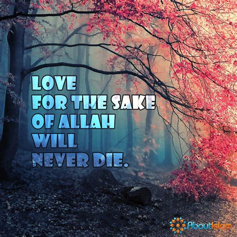 Love For The Sake Of Allah Will Never Die ️ Allah Love