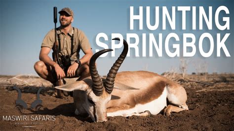 Hunting Springbok In South Africa 4k Youtube