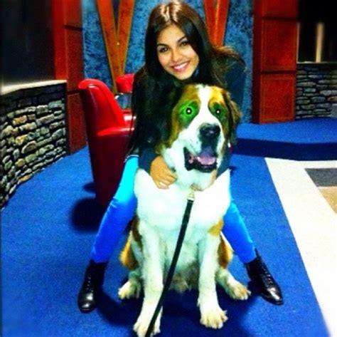 Victoria Justice Caught Abusing A Dog