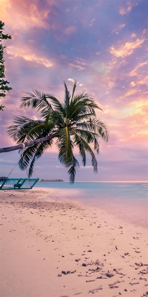 Two Palm Trees On The Beach With Blue Water And Clouds In The Sky