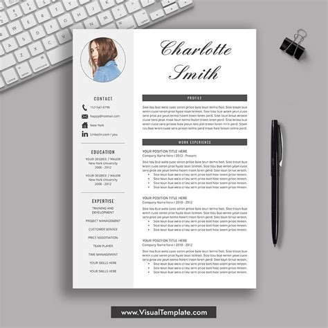 2022 Professional Cv Template Fillable Printable Pdf And Forms Handypdf