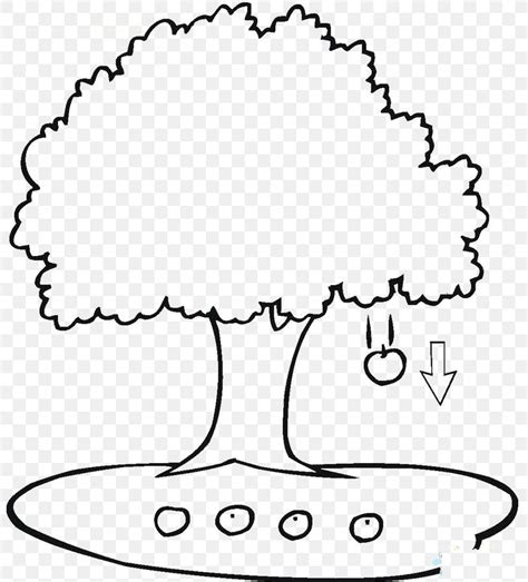 The summer ends and fall is coming. Apple Coloring Book Tree Leaf Branch, PNG, 800x905px ...