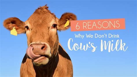 Why We Dont Drink Cows Milk T1d Living
