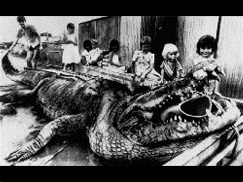 Buaya ini yang dari spesies crocodylus porosus berukuran 20 kaki panjang dan. Hollywood Dan Malaysia Kerjasama Terbit Filem Lagenda ...