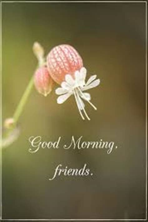 28 Good Morning Message For Friends - Morning Wishes Quotes with Images ...