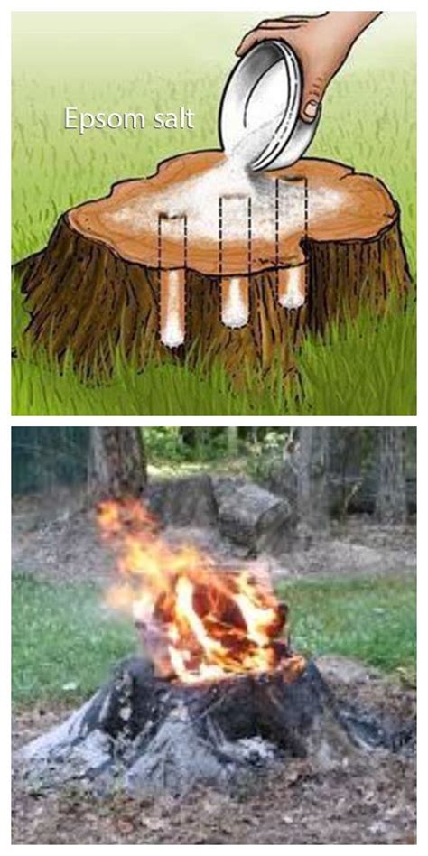 A Fire Pit That Has Been Made Into A Tree Stump With The Words Epsom