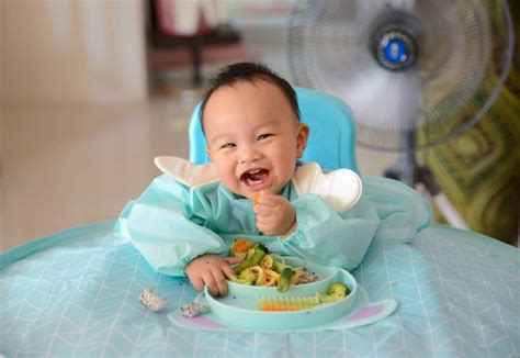 Wer von euch hat sich nicht schon mal gefragt, ab wann man seinem baby ein bestimmtes lebensmittel geben darf, damit es gut vertragen wird? Ab wann dürfen Babys alles essen? | Babyled Weaning Wissen ...