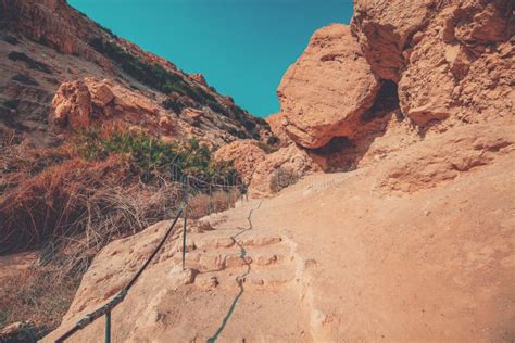 Hiking Path In The Nature Reserve Ein Gedi Israel Stock Photo Image