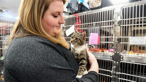 Sioux Falls Humane Society's social media posts lead to pet adoptions