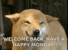 Самые смешные гиф в сети интернет. Welcome Back GIFs | Tenor