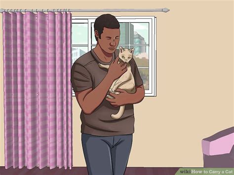 3 Ways To Carry A Cat Wikihow