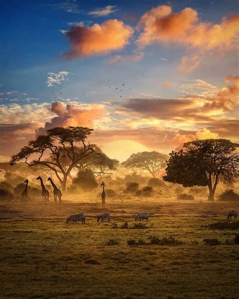 Zimbabwe Is A Landlocked Country In Southern Africa Known For Its Dramatic Landscape And Diverse