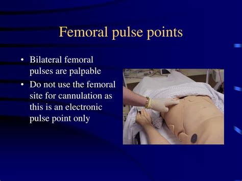 Ppt Orientation To Simman ™ The Human Patient Simulator Powerpoint