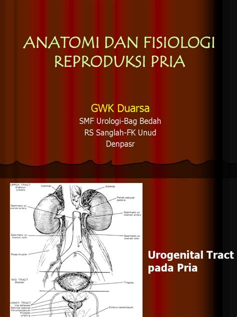 Pdf Bahan Anatomi Dan Fisiologi Dokumen Tips Hot Sex Picture
