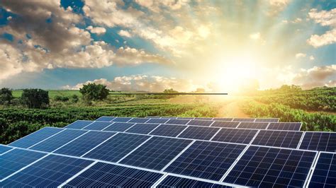 Empowering Friends & Family to Embrace the Solar Revolution | Neeeco