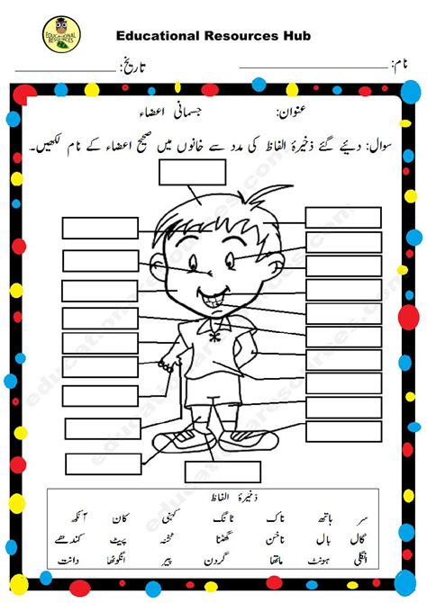 Urdu Worksheet For Grade 5