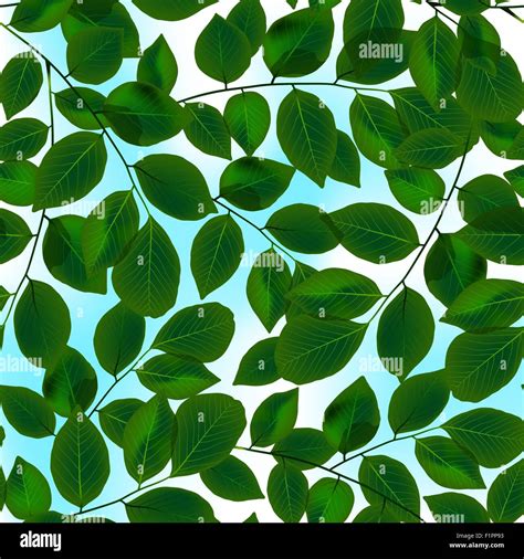 Green Leaves Canopy And Sky In A Seamless Pattern Stock Vector Image