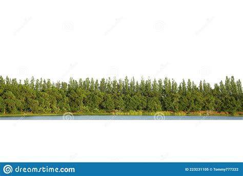 View Of A High Definition Treeline Isolated Stock Image Image Of