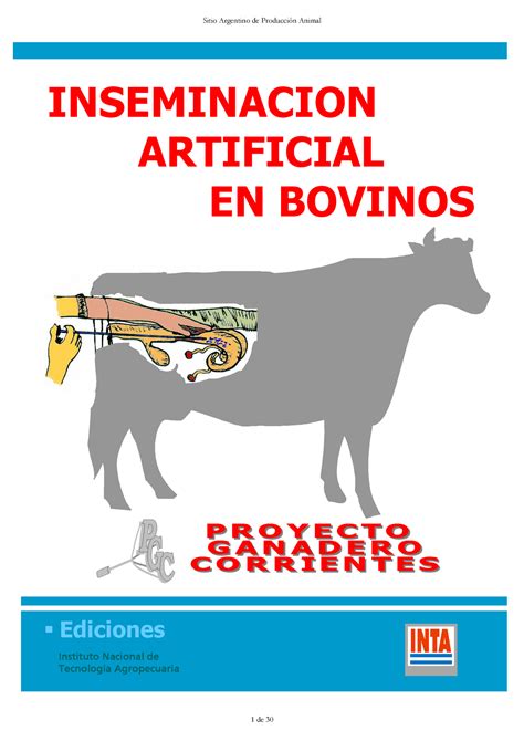 Inseminacion Artificial En Bovinos Studocu