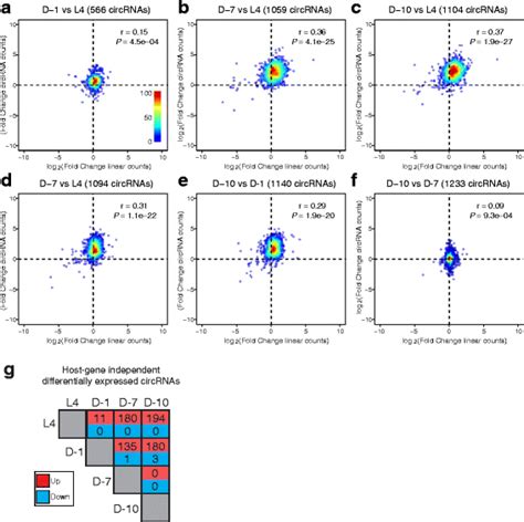 Age Accumulation Of Circrnas Is Independent Of Host Gene Expression