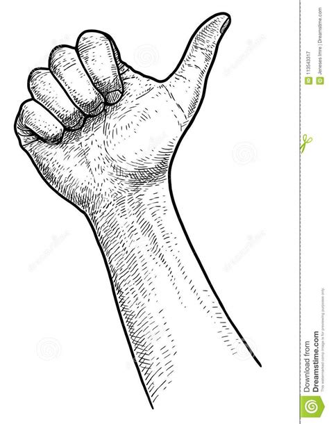 Hand Illustration Drawing Engraving Ink Line Art Vector Stock