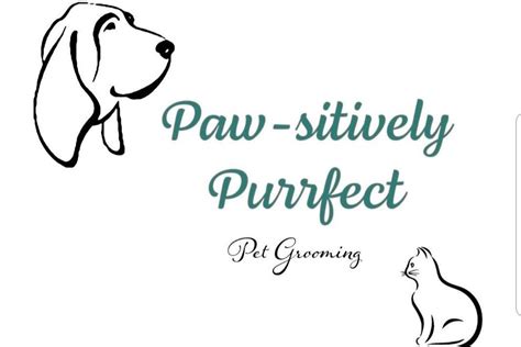 Pawsitively Purrfect Llc Dog Grooming