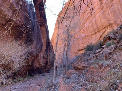Photos Of The Golden Cathedral Trail Utah Alltrails
