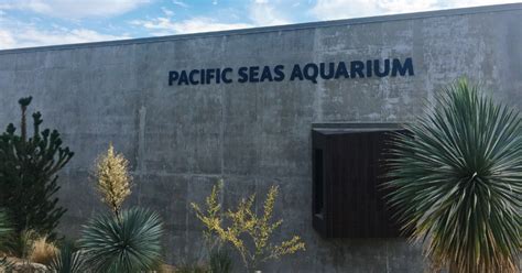 Pacific Seas Aquarium To Open September 7 Travel Outdoors