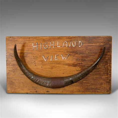 Antiques Atlas Vintage Mounted Horn Display Scottish Pine