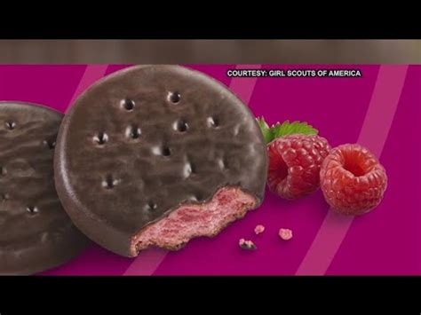 Girl Scout Cookie Season Underway Youtube