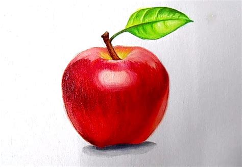 How To Draw An Apple With Pencil Easy Step By Step Sketch Of Apple
