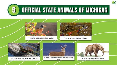 Discover The 5 Official State Animals Of Michigan A Z Animals