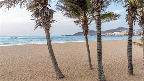 5 Playas De Las Palmas Que Hay Que Visitar Mi Viaje