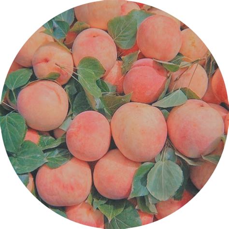 Freetoedit Scpeach Peach Sticker By Lonjuin