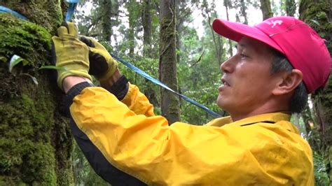 森林的守護者 巡山員不可能的任務 - YouTube