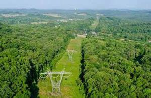 • pests, pest management and pesticides. Right-of-Way Pest Control -- Kentucky Pesticide Safety ...