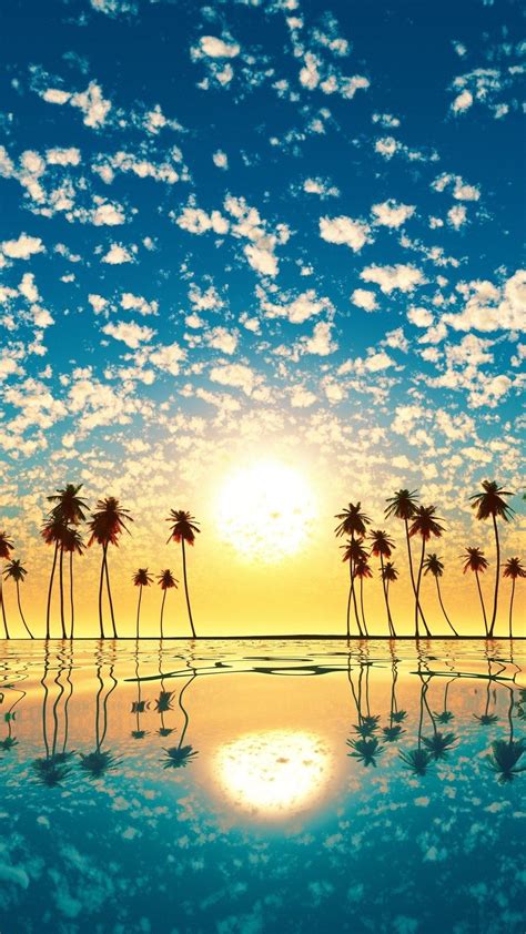 Cute Palm Tree Wallpapers On Wallpaperdog